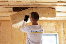 Eco-Friendly or Green Insulation Solutions in Skyline Acres, OH